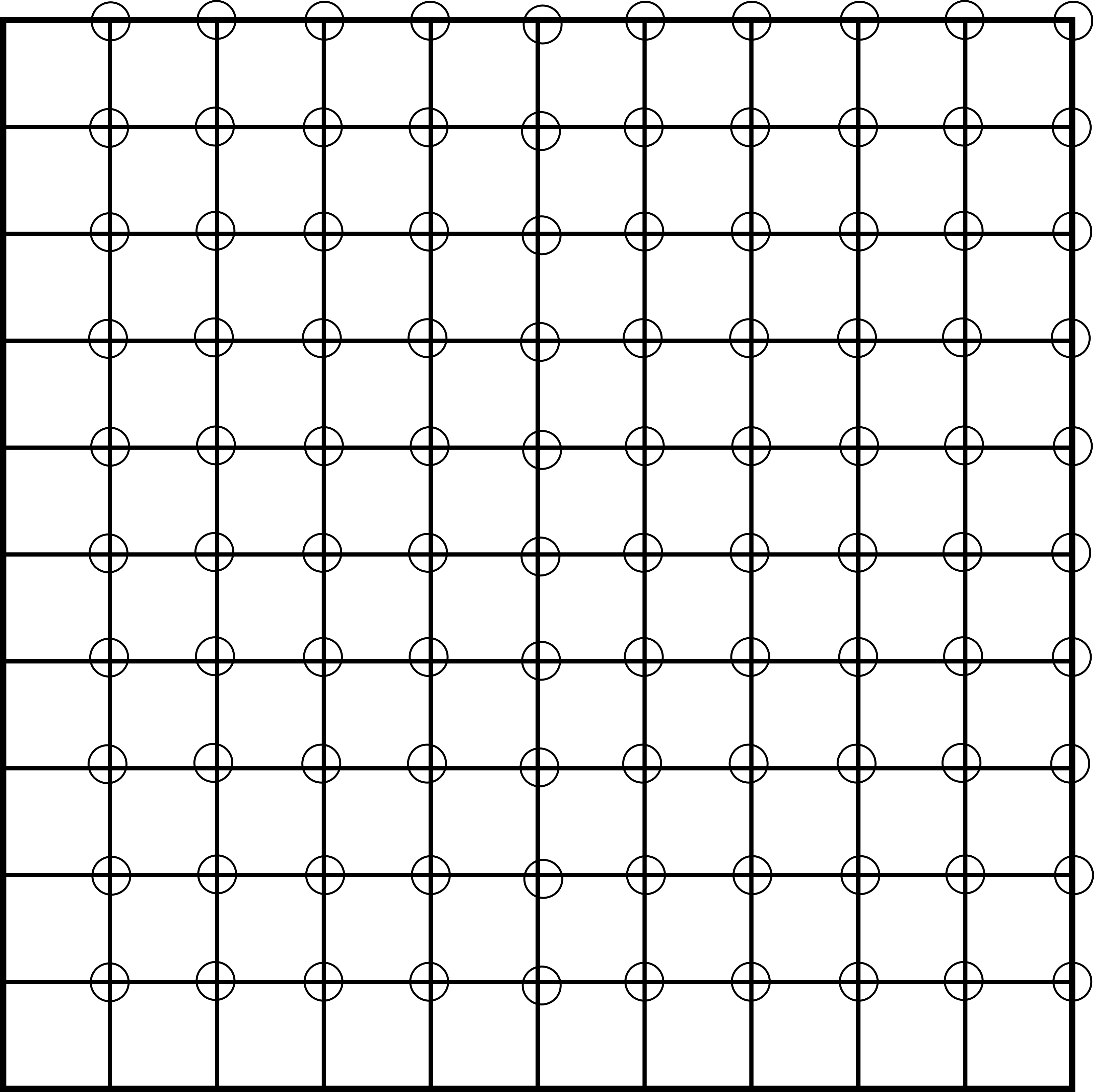 Schematic of the quadrat that you will use during the practical.